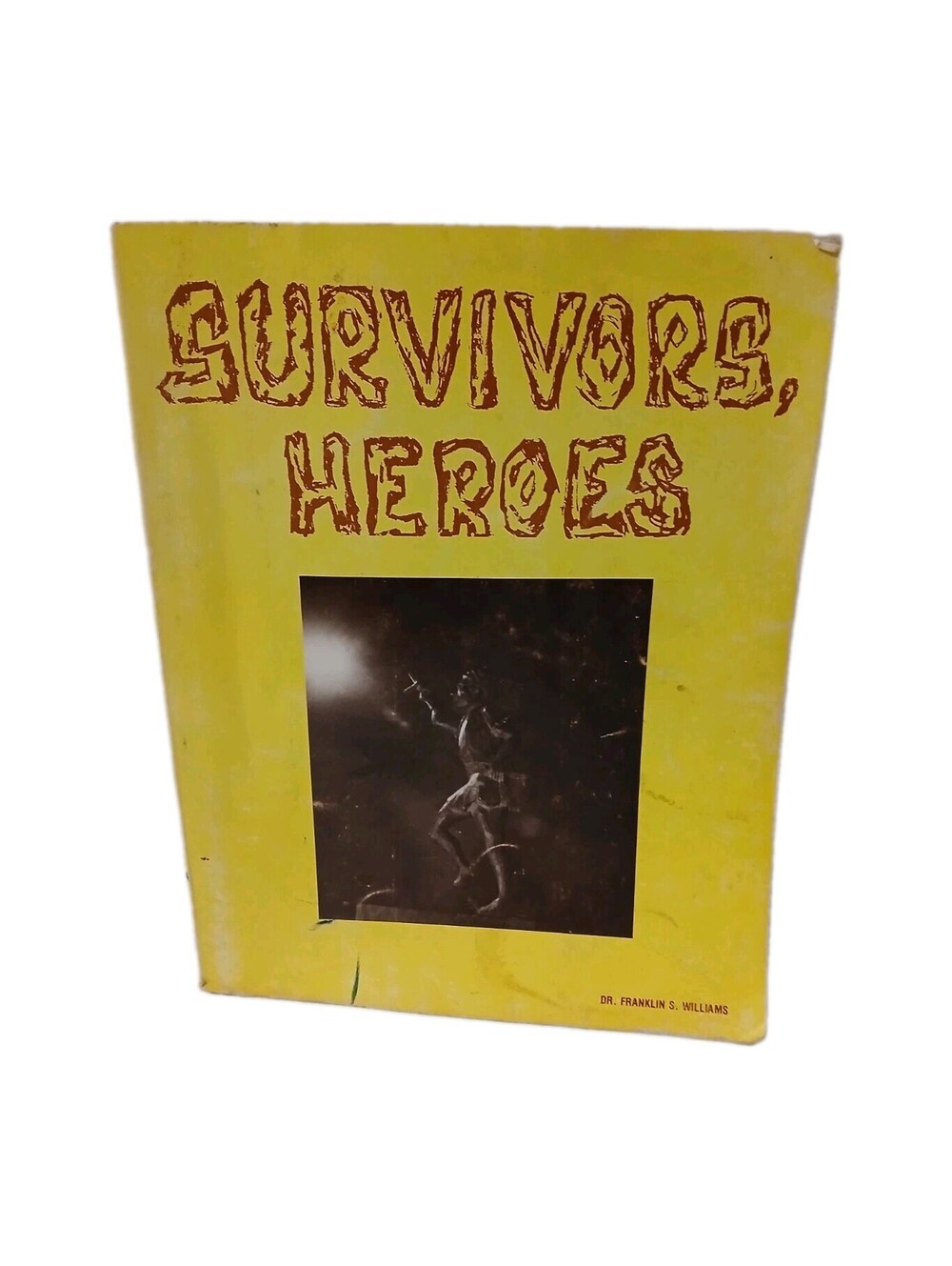 Survivors, Heroes Dr Franklin S Williams 1979 Red Lion Books Paperback Rare Vtg